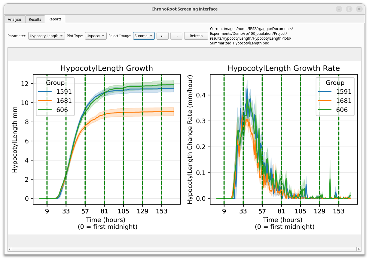 Screening Interface Generate Report