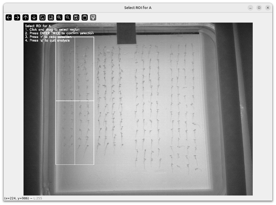 Screening Interface ROI Selection