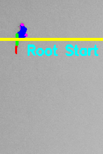 Main Root Start Selection Example 1