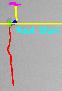 Main Root Start Selection Example 2