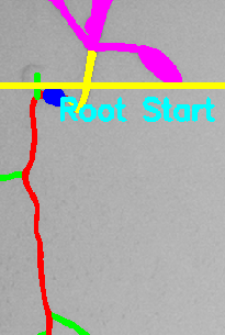 Main Root Start Selection Example 3