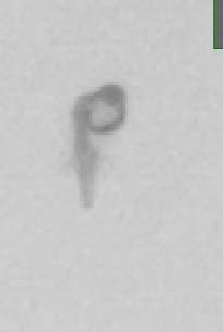 Main Root Start Selection Plant 3 Example 1