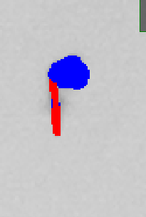 Main Root Start Selection Plant 3 Example 2