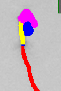 Main Root Start Selection Plant 3 Example 4