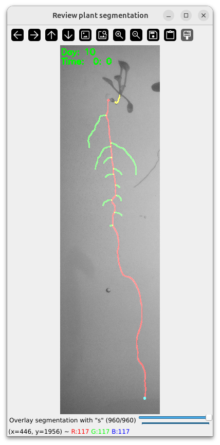 Plant Overlay Segmentation Toggle