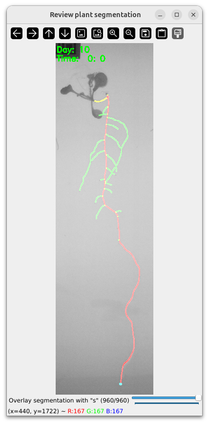 Plant Overlay Segmentation Toggle 2