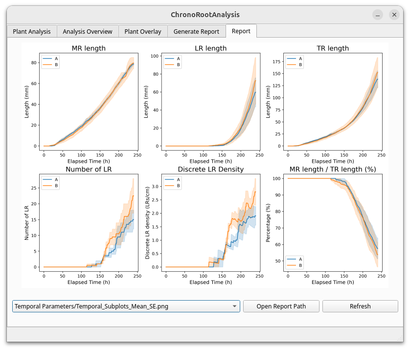 Generated Report Example