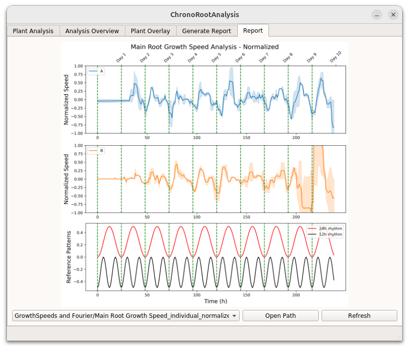 Generated Report Example 2