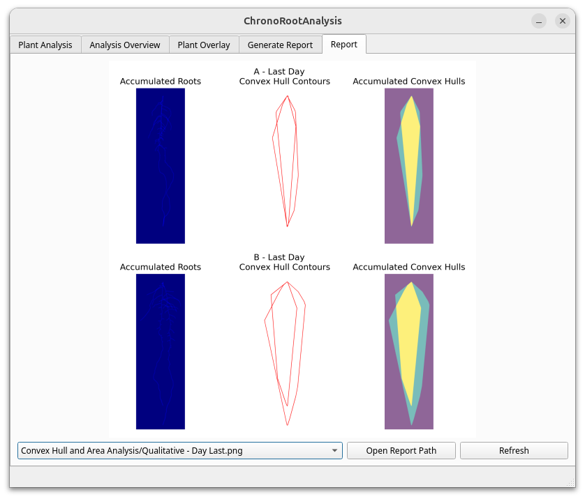 Generated Report Example 3