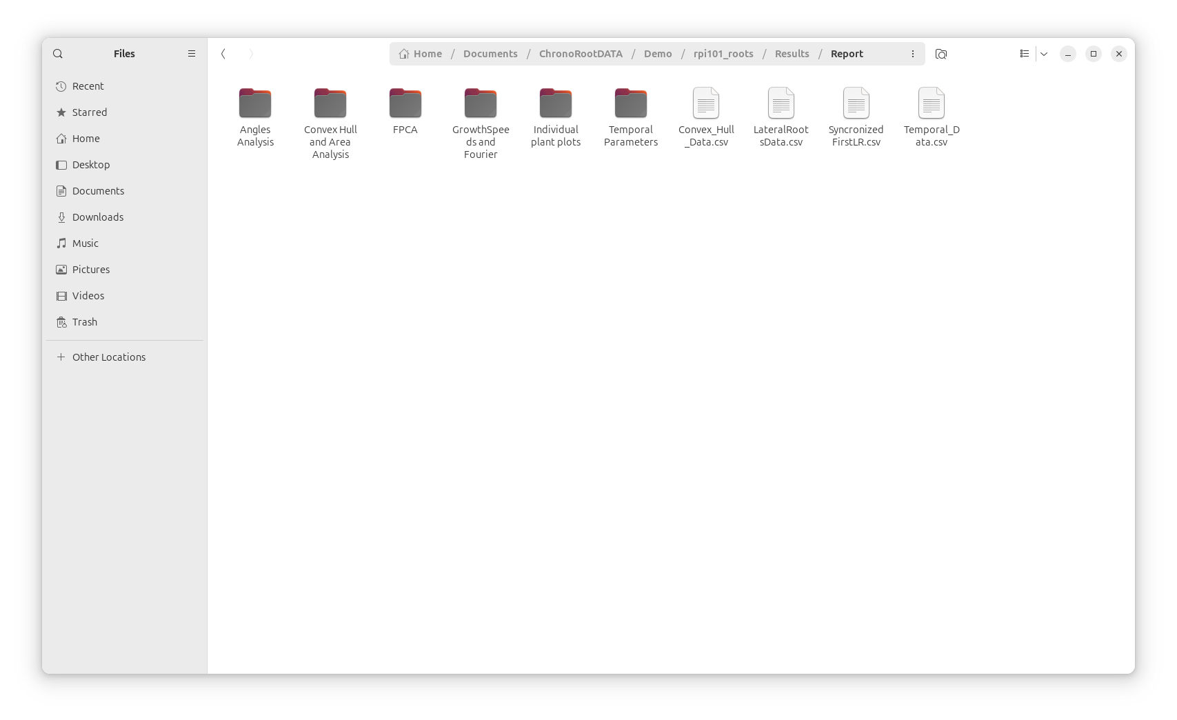 Generated Report Example 5