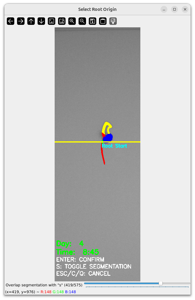 Main Root Start Selection Example 3
