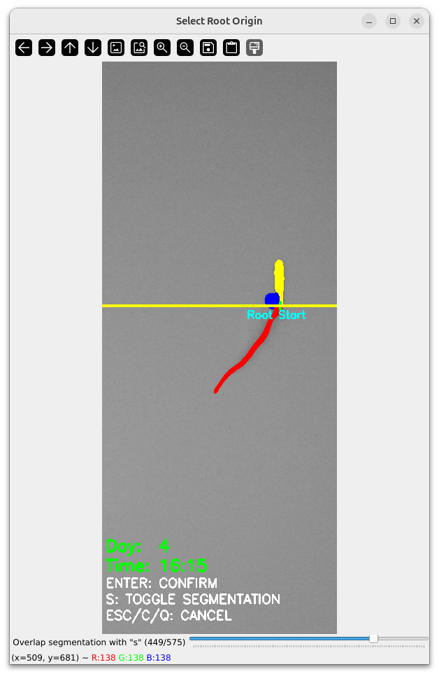 Main Root Start Selection Example 4