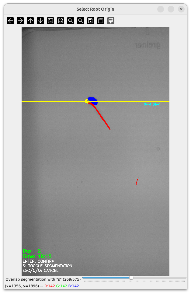 Main Root Start Selection Example 5