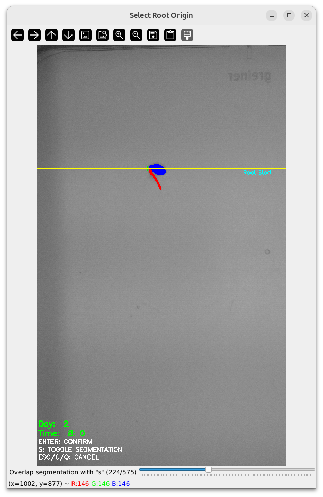 Main Root Start Selection Example 7
