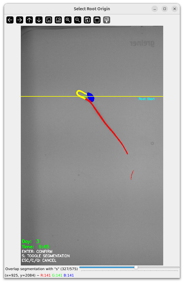 Main Root Start Selection Example 8