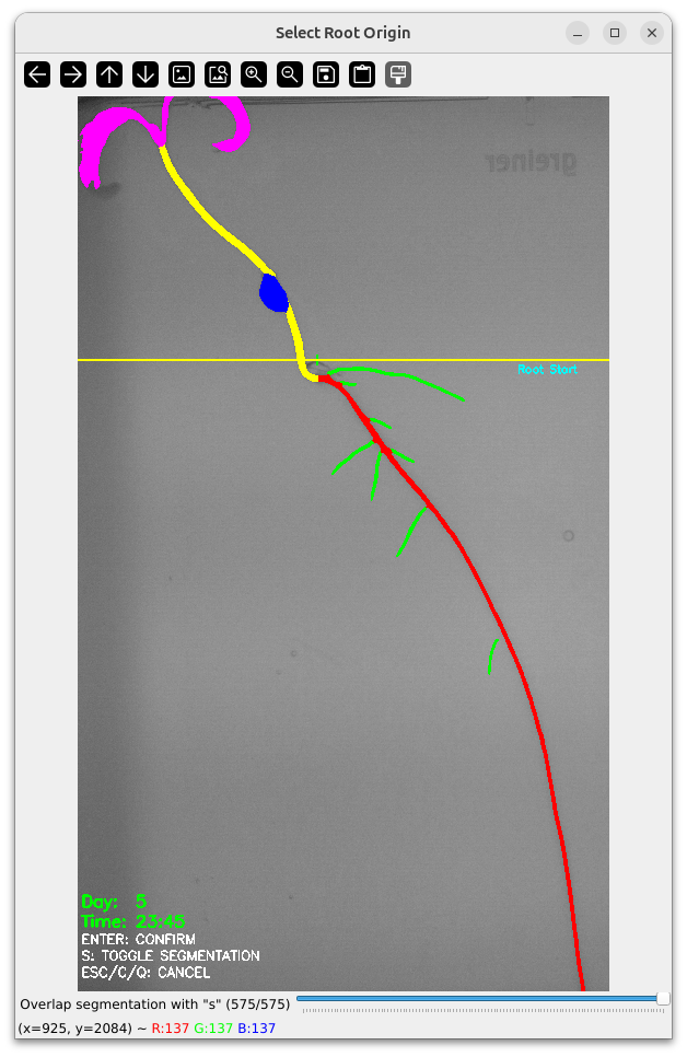 Main Root Start Selection Example 9
