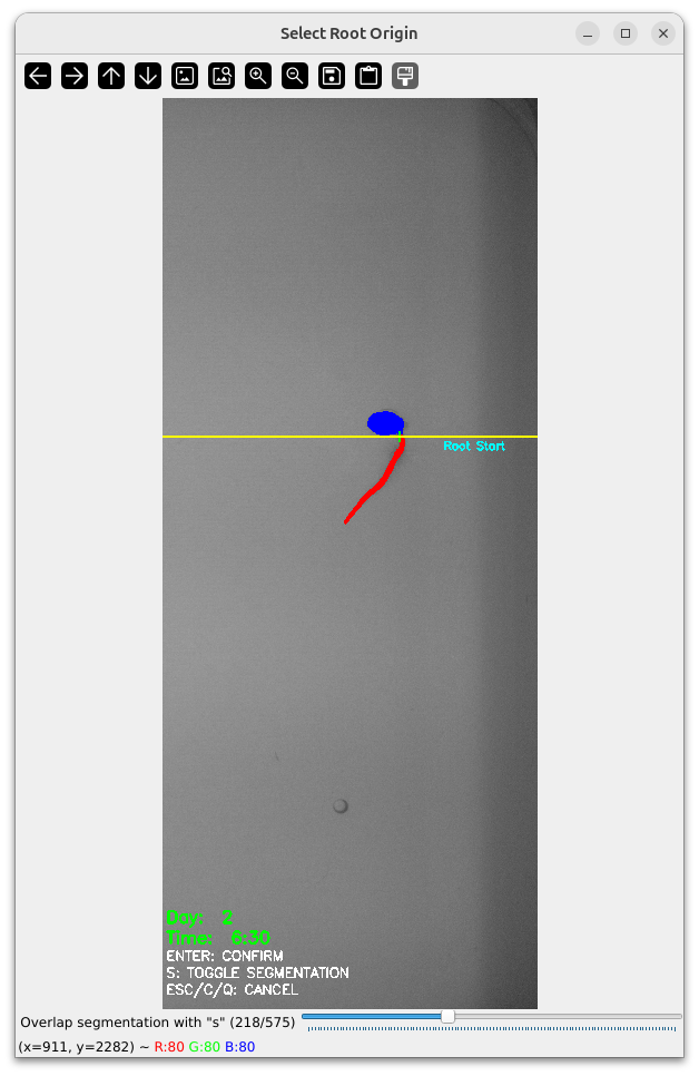 Main Root Start Selection Example 10