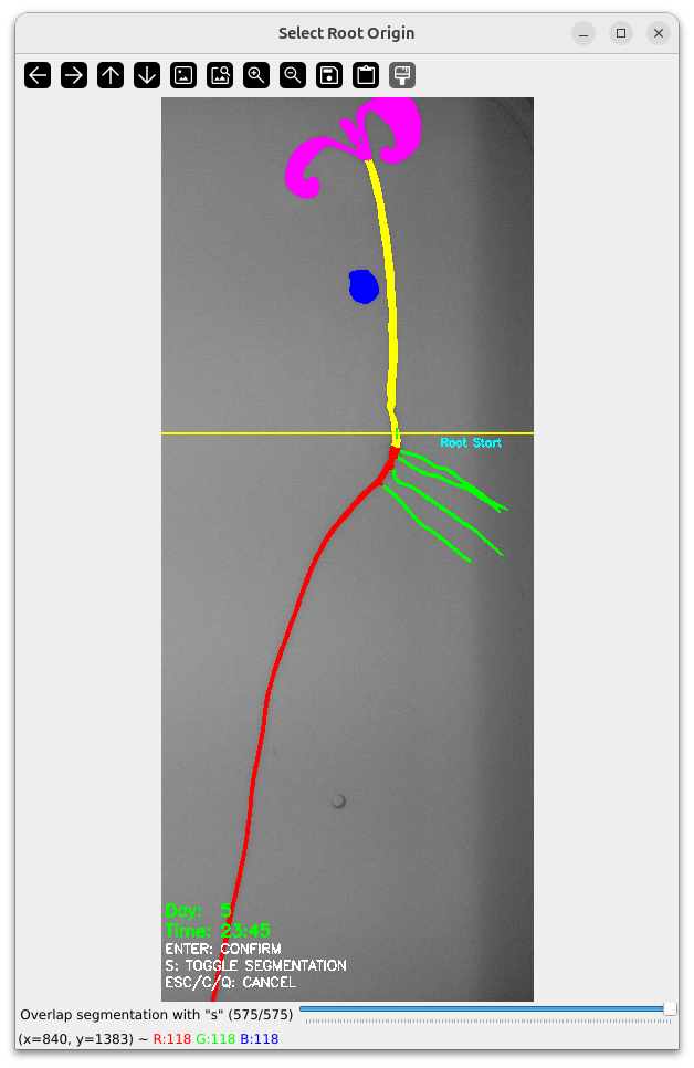 Main Root Start Selection Example 11