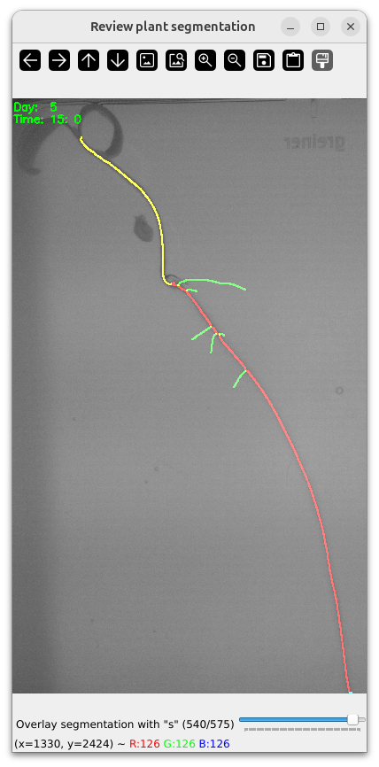 Plant Overlay Segmentation Toggle