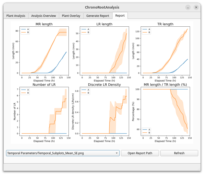Generated Report Example