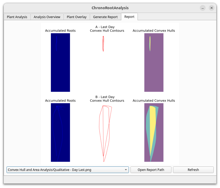 Generated Report Example 3