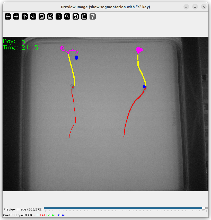 Plant Identification